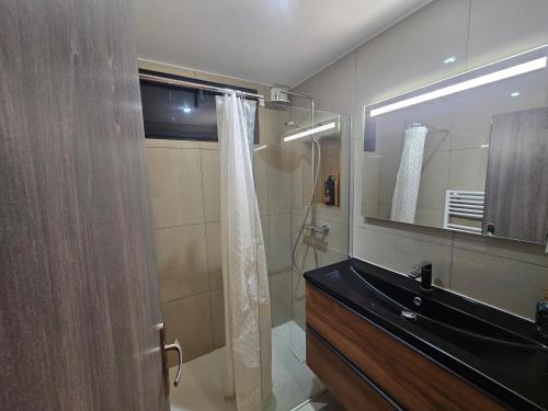 une salle de bain avec une douche, un lavabo et un miroir dans l'établissement Appartement 75m2 neuf 15 min centre ville, à Reims