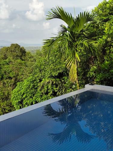 a swimming pool with a palm tree in the background at Luxury 3 BDR Jungle Villa - Infinity Pool & Seaview in Amphoe Koh Samui