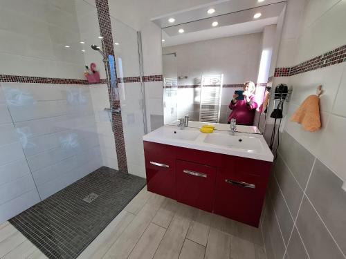 a bathroom with a sink and a shower and a mirror at Le paradis des caves in Châteauvieux