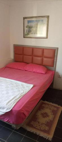 a bed with pink pillows and a picture on the wall at Caglayan otel pansiyon in Bodrum City