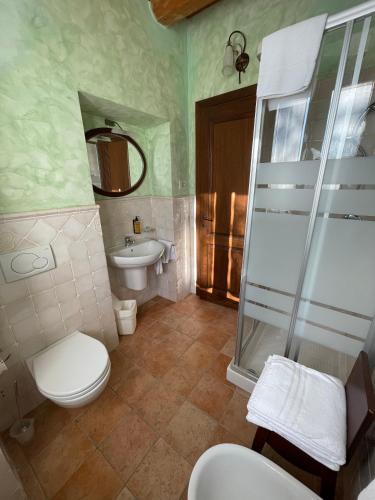 a bathroom with a shower and a toilet and a sink at Le Calvie, country house in Camerino