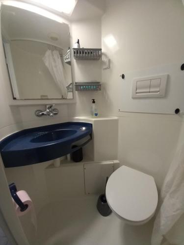 La petite salle de bains est pourvue d'un lavabo bleu et de toilettes. dans l'établissement Appartement avec une petite place de parking, centre ville, proche gares, à Annecy