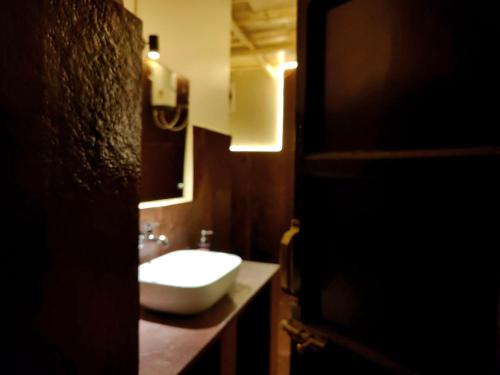 a bathroom with a white sink and a mirror at Bastar Greens Eco Stays in Jagdalpur