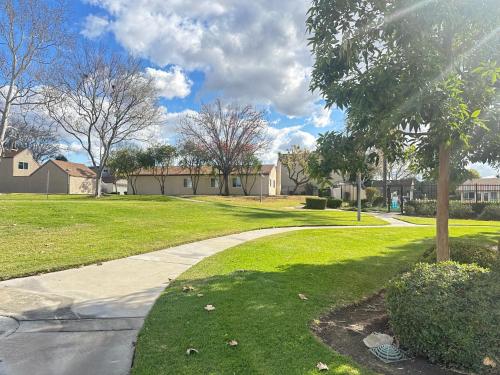 a sidewalk in a residential neighborhood with a tree at Brea Mall romantic two-bedroom house in Fullerton
