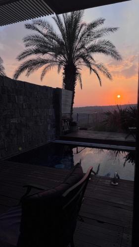 a palm tree sitting next to a swimming pool with the sunset at Diamond Mansion-Suite A in Had Nes