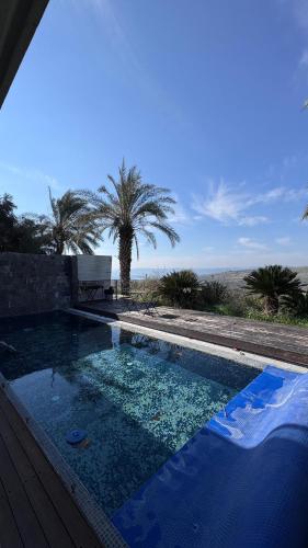 a blue swimming pool with a palm tree in the background at Diamond Mansion-Suite A in Had Nes
