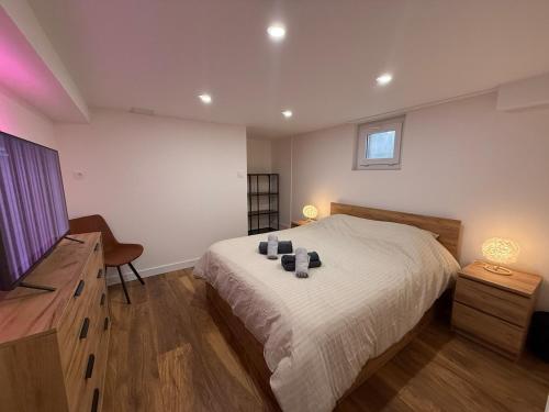 a bedroom with a large bed and a television at Logis en campagne avec piscine in Châlonvillars