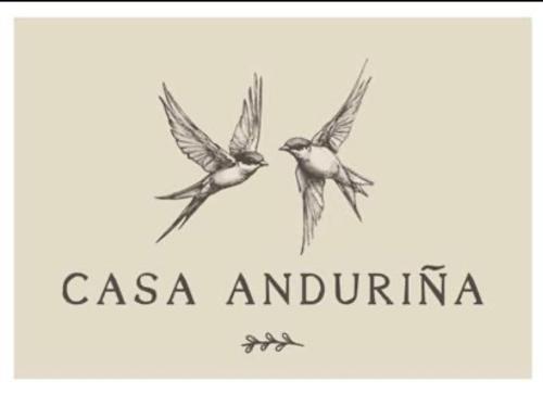 dos pájaros volando sobre las palabras casa antigua en Casa Anduriña, en Ourense