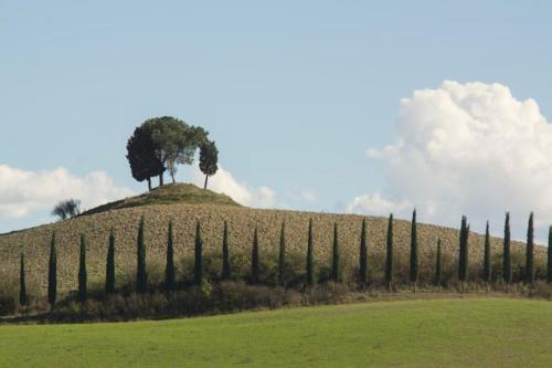 Paisaje cerca de este agroturismo