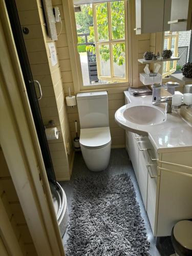 a bathroom with a toilet and a sink and a window at NEU! Haus am Teich in Dornum