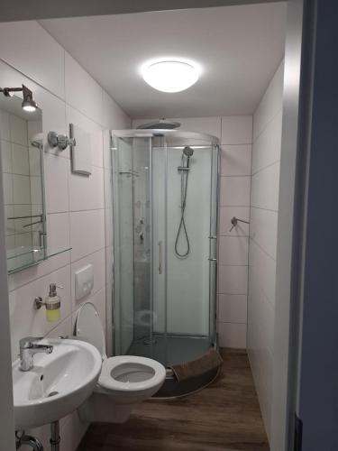 a bathroom with a shower and a toilet and a sink at Pension zum Hecht in Schemmerberg