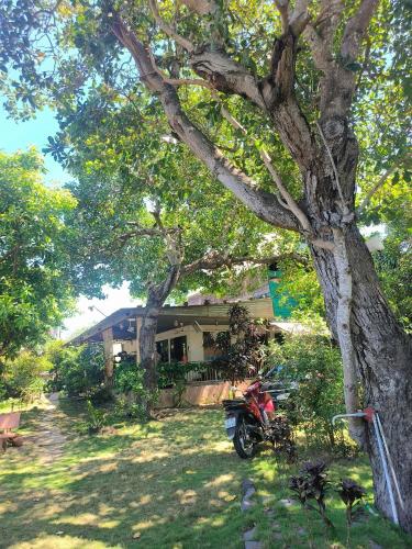 a motorcycle parked under a tree in front of a house at Biên Rừng Homestay in Xã Như Lâm