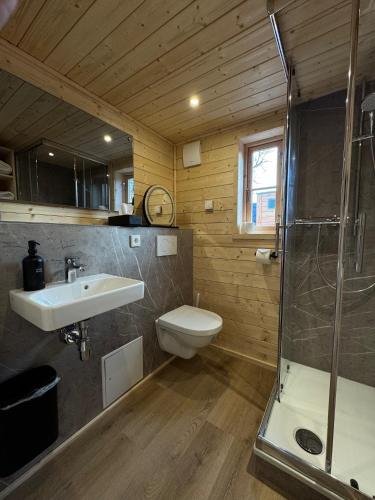 a bathroom with a toilet and a sink and a shower at Übernachten im Weinfass in Volkach
