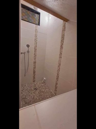 La salle de bains est pourvue d'une douche et d'une fenêtre en verre. dans l'établissement Le Vin-Tage, à Broin