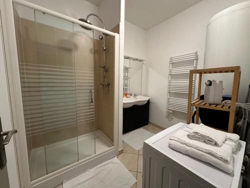 un baño con ducha y lavabo en Champagne BNB - Le Duplex - Le Loft - L'Atelier - Le Cosy, en Épernay