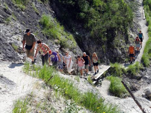 a group of people walking down a mountain trail at Appartements Schmidsendl in Lofer