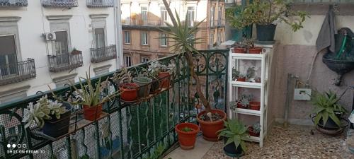 B&b Liberty House