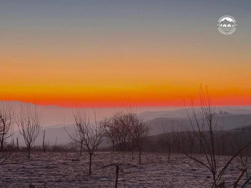 Φωτογραφία από το άλμπουμ του Arkhilo's cottage σε Dedoplis Tskaro