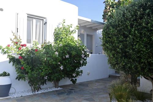 Corina Studios-Apartments
