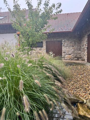 a garden with tall grass in front of a stone building at Farma Kalhov in Kalhov