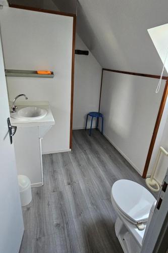 une salle de bain avec toilettes et lavabo dans l'établissement Maison chez alfred, à Laborde