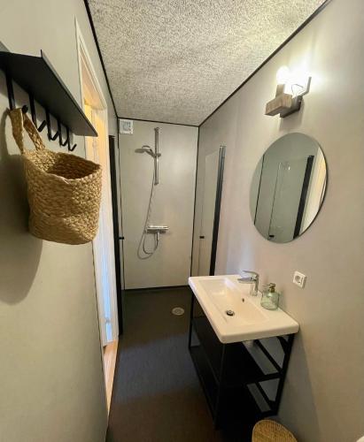 a bathroom with a sink and a mirror and a shower at Park Lodge in Millinge