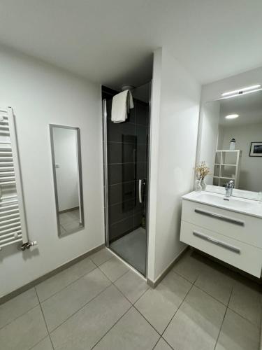 une salle de bain avec une douche, un lavabo et un miroir dans l'établissement MountainLake Gateway, à Annecy