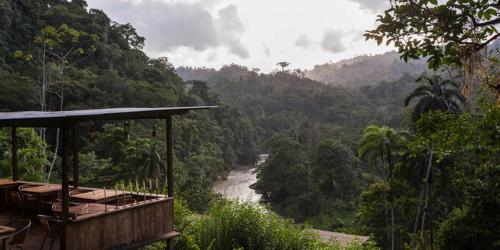 a deck with a view of a river in a forest at Ave Sol River Sanctuary in Siquirres