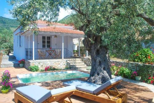 a house with a tree and a swimming pool at Neptune in Alonnisos Old Town