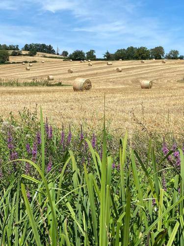 Photo de la galerie de l'établissement Atelier des Rêves, à Vichy