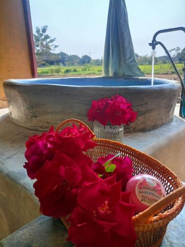 สวนหย่อมนอก Six Nature Resort