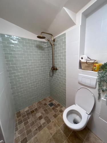 une salle de bain avec des toilettes blanches et une douche dans l'établissement 2 rooms very well located in L'Isle-sur-la-Sorgue, à LʼIsle-sur-la-Sorgue