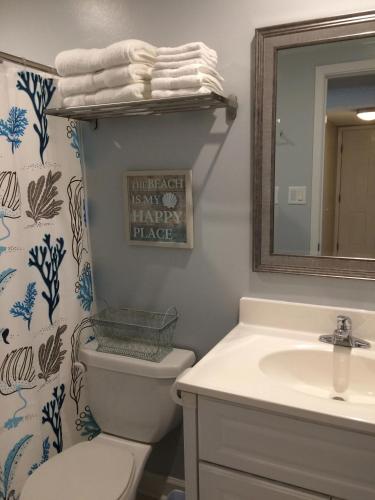 a bathroom with a toilet and a sink and a mirror at Moshell Hideaway in Oriole Beach