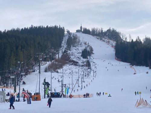 a group of people skiing down a ski slope at Apartmán Mariánská Hora in Albrechtice v Jizerských horách