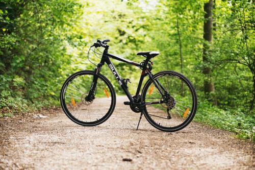 a bike parked on a trail in the woods at Minos Boutique Hotel in Agia Galini