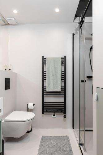 3 BDR apt in Prenzlauer Berg with cinema photo 8