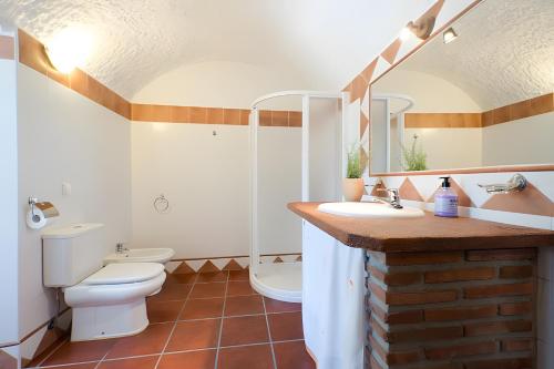 a bathroom with a toilet and a sink at La Chumbera in Benalúa de Guadix