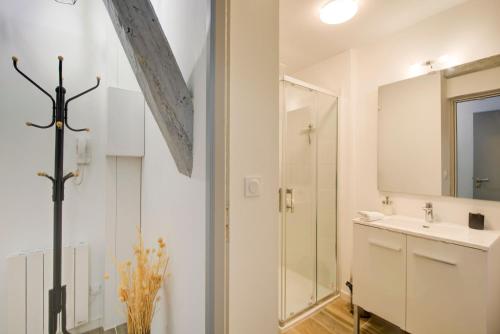 une salle de bain avec une douche, un lavabo et un miroir dans l'établissement La cabane - A l Ombre des vieilles poutres, à Tours