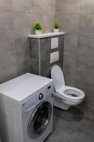 a washing machine in a bathroom with a toilet at Apartmán TOBI in Kašperské Hory