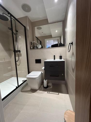ein Badezimmer mit Toilette, Waschbecken und Dusche in der Unterkunft Rock Mill - Luxury 1 Bedroom Apartment 20 in Stony Middleton