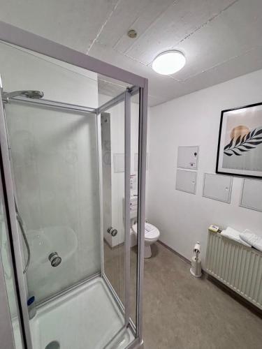 a bathroom with a shower and a toilet at Quartier Wenzelnberg in Langenfeld
