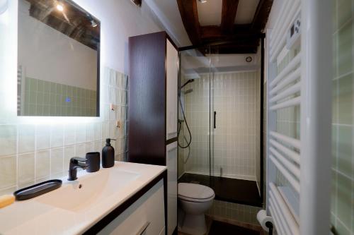une salle de bain avec un lavabo, des toilettes et un miroir dans l'établissement Le refuge Bellifontain - Au cœur de la ville, à Fontainebleau