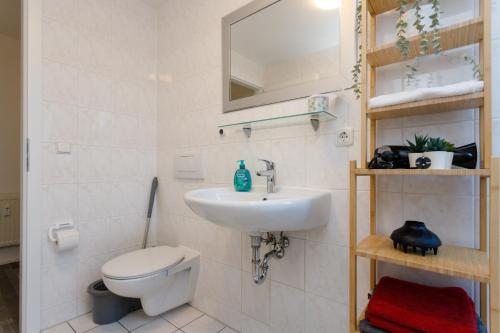 a bathroom with a sink and a toilet and a mirror at Macabu Apartment Linda in Chemnitz