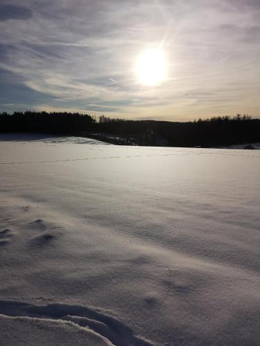 a frozen lake with the sun in the sky at Ferienwohnung in Waldrandlage in Nationalpark Schleiden / Eifel in Schleiden