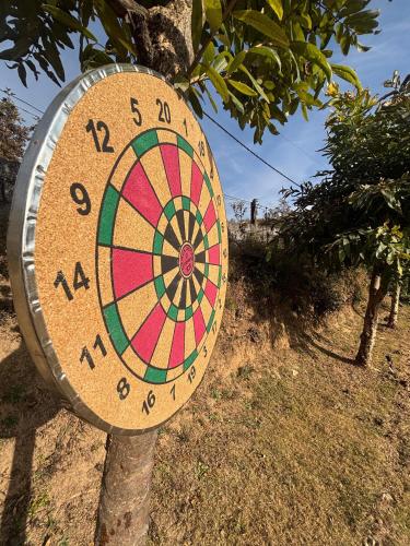 a dart board on a tree in a field at The Hood in Bīr