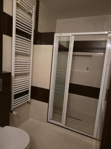 a bathroom with a shower with a glass door at Hotel Dworski Galaktyczny Park in Szczecin