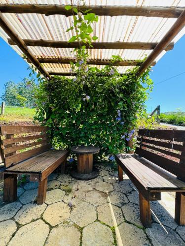 Κήπος έξω από το Casa Container - Pousada Container da Montanha AZUL