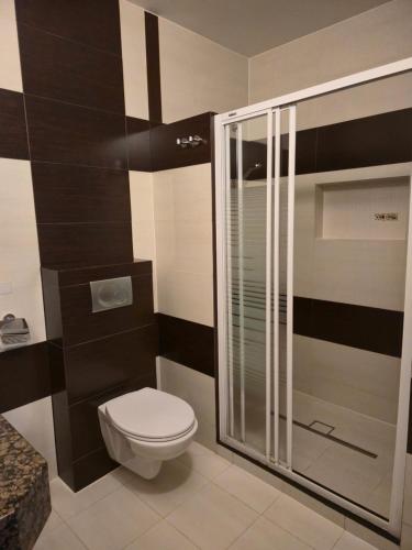 a bathroom with a toilet and a glass shower at Hotel Dworski Galaktyczny Park in Szczecin