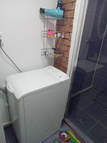 a bathroom with a shower and a toilet and a shower at Casa Ozon in Vulcan