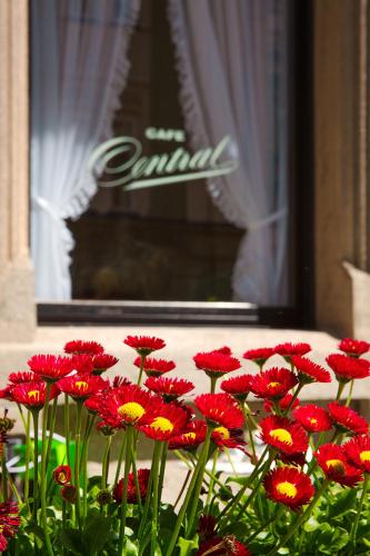 Fotografie z fotogalerie ubytování Hotel Central v destinaci Innsbruck